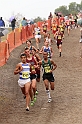 2010CIF XC BD1-1806